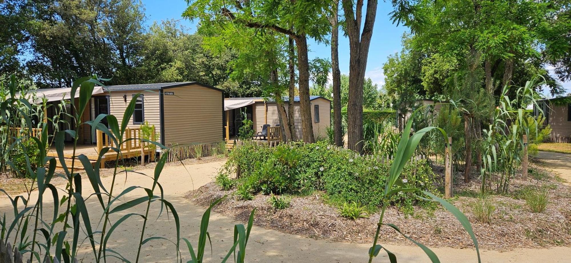 Camping Le Bois Verdon Saint-Jean-de-Monts Exterior photo