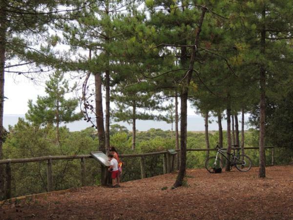 Camping Le Bois Verdon Saint-Jean-de-Monts Exterior photo